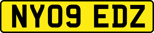NY09EDZ