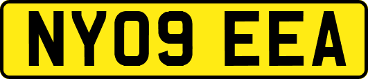 NY09EEA