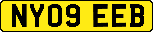 NY09EEB