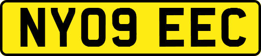 NY09EEC