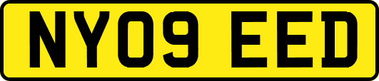 NY09EED