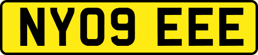 NY09EEE