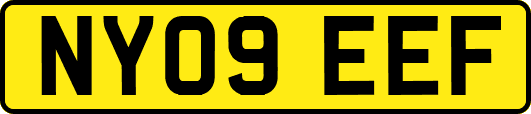 NY09EEF