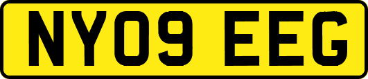 NY09EEG