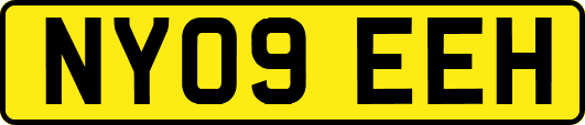 NY09EEH