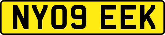 NY09EEK
