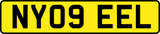 NY09EEL