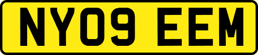 NY09EEM