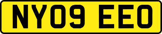 NY09EEO