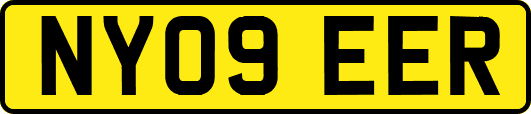 NY09EER