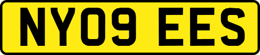 NY09EES