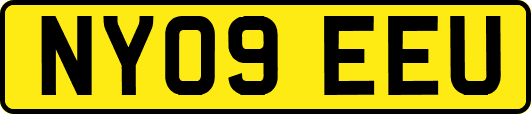 NY09EEU