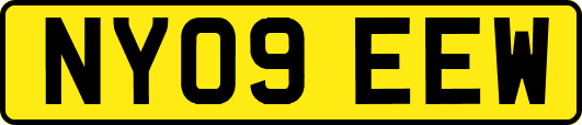 NY09EEW