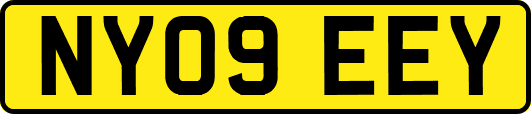 NY09EEY