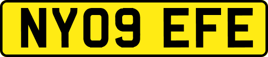 NY09EFE