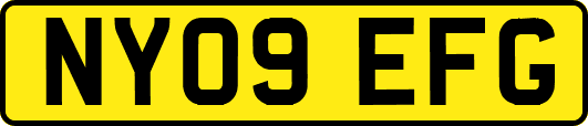 NY09EFG
