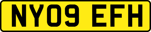NY09EFH