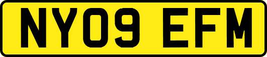 NY09EFM