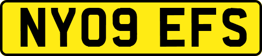 NY09EFS
