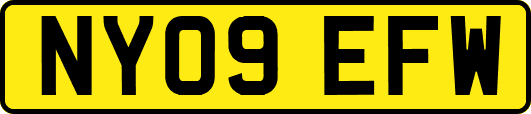 NY09EFW