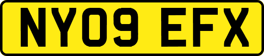 NY09EFX