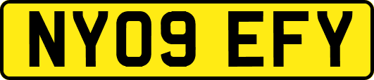 NY09EFY