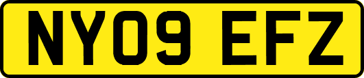 NY09EFZ