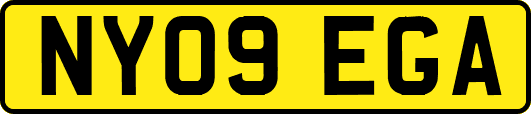 NY09EGA