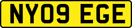 NY09EGE