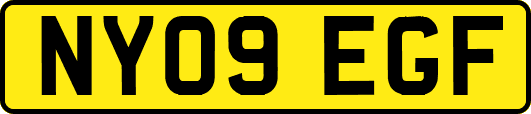 NY09EGF
