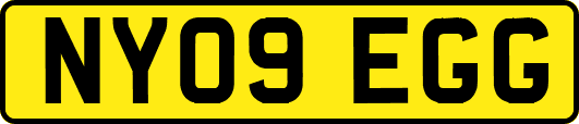 NY09EGG