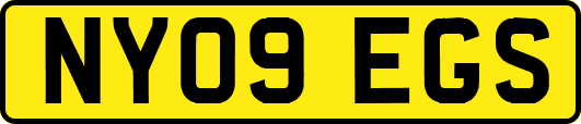 NY09EGS