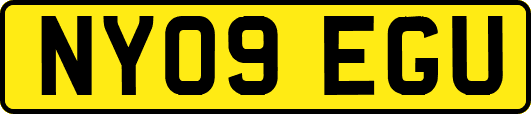 NY09EGU
