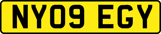 NY09EGY