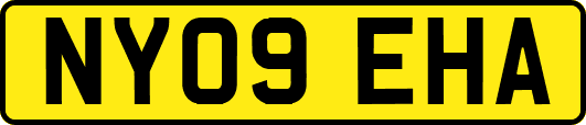 NY09EHA