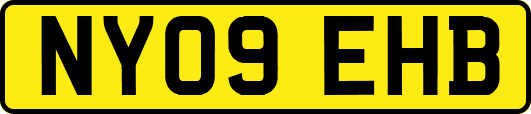 NY09EHB