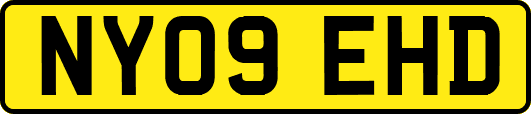 NY09EHD