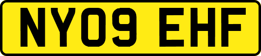 NY09EHF
