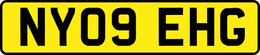 NY09EHG