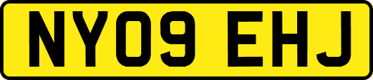 NY09EHJ
