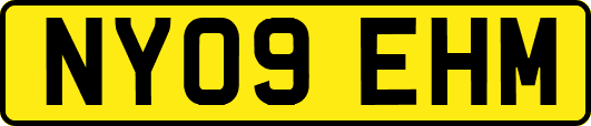 NY09EHM
