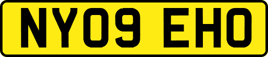 NY09EHO