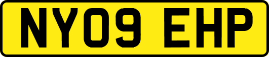 NY09EHP