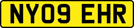 NY09EHR