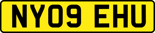 NY09EHU