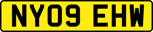 NY09EHW