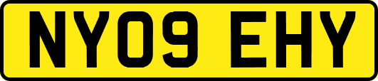NY09EHY