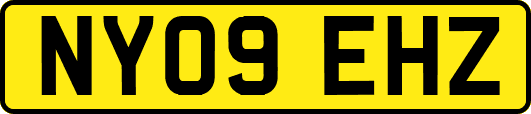NY09EHZ