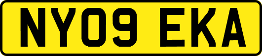NY09EKA