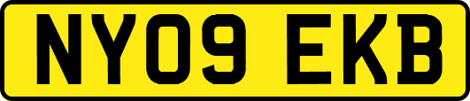 NY09EKB